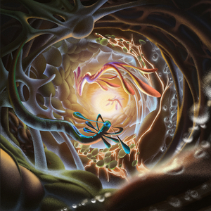 日本肥老妇色xxxxx日本老妇
